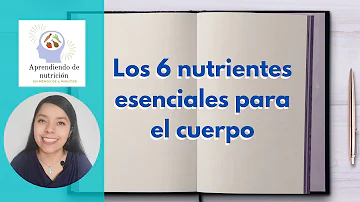 ¿Cuáles son los 17 nutrientes esenciales?