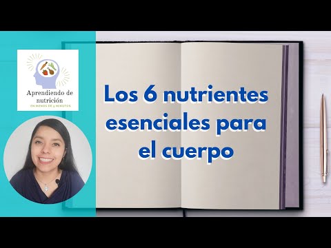 Vídeo: 6 Nutrientes Esenciales: Qué Son Y Por Qué Los Necesita