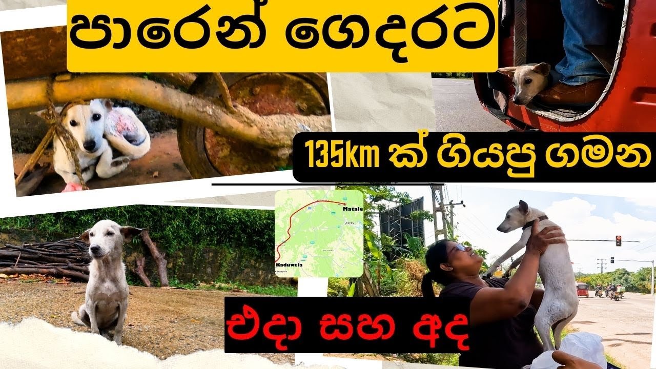 රයිනිගේ කතාව🥺️❤️️😘