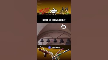 CS2 quiz: name this sound 🎧 #we_are_insane #insane #insanegg #cs2 #csgo #sound #memes