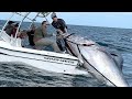 Amazing fastest giant bluefin tuna fishing skill  most satisfying sea fishing