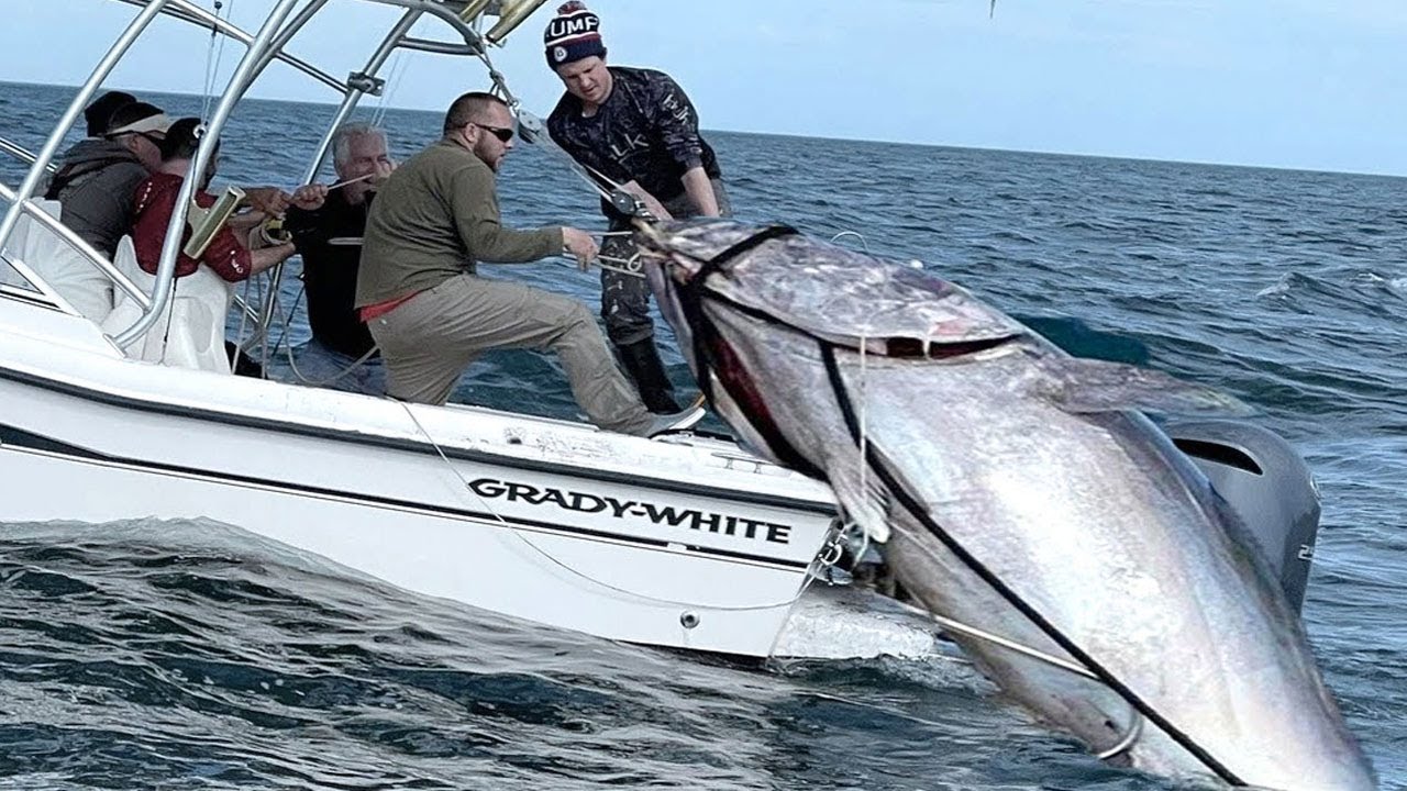 Amazing Fastest Giant Bluefin Tuna Fishing Skill Most Satisfying Sea
