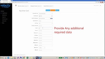 AuthorizeAndCapture Using the Velocity Virtual Terminal