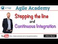 Stopping the line and continuous integration