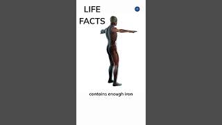 507. Iron Man Internal? Unveiling the Truth About Body Iron!