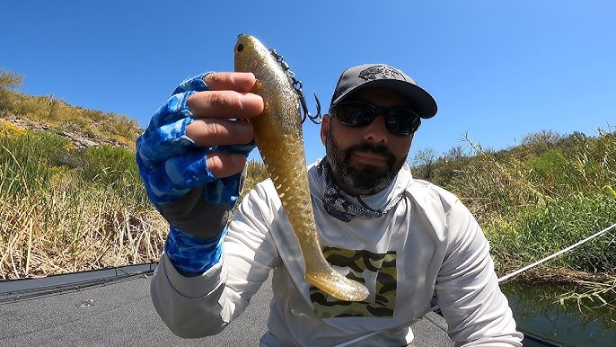 Berkley Powerbait CullShad Swimbait Product Video with  @mikeiaconellifishing @berkleyfishing 