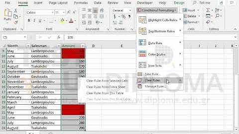 Remove the formatting rule of the range C5:C24.