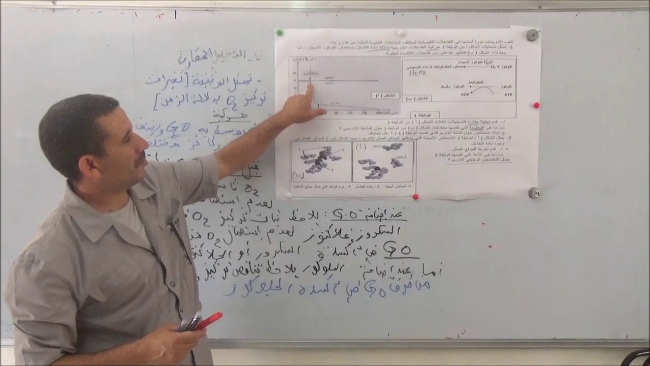 تمارين البكالوريا