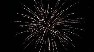 MC Fireworks / 2023 NEW items for US market--2 9 shots shell's Cake