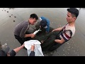Grass Carp/Striped mullet Net Fishing | FISH HARVESTING part 3