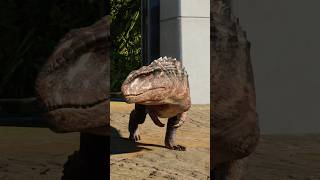 Postosuchus - Adult & Juvenile - JWE 3 Crocodilia Coast #shorts
