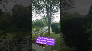 staycation storms for the clearing #authortube #booktube #shorts
staycation storms for the clearing #authortube #booktube #shorts staycation storms for the clearing #authortube #booktube #shorts