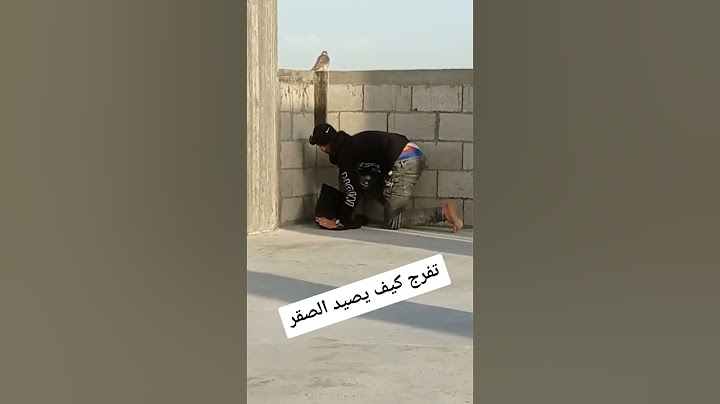 مشهد لا يصدق 🤯🤯🤯 شوف كيف تمكن من صيد الصقر 🔥🔥