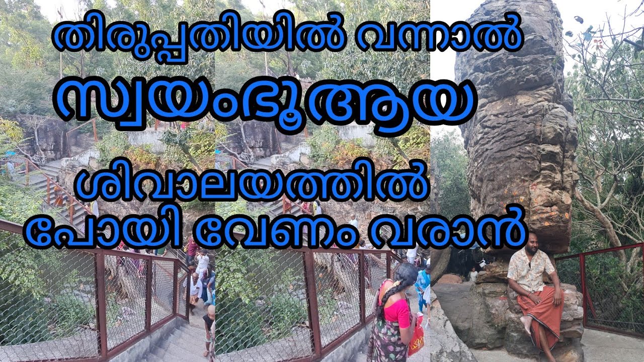 തിരുപ്പതി ദർശനം കൊതിക്കുന്നവർ കാണേണ്ടാ വീഡിയോ സ്വയംഭൂ സുദർശന ചക്രവും ചക്ര തീർത്ഥവും പോയി വേണം വരാൻ 