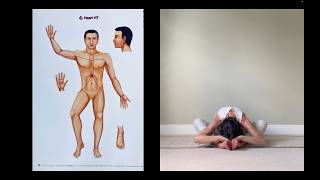 YOGA OF MERIDIANS | Heart & Small Intestine | Chiara Favaretti