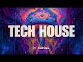 Deep Tech & Minimal House Mix 🧠 Hypnotic Flow State | NoDropz #003