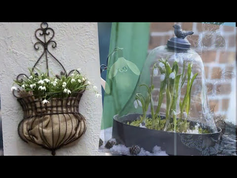 ПОДСНЕЖНИКИ ИДЕИ домашнего декора ВЕСЕННЕЕ УКРАШЕНИЕ ДОМА SNOWDROPS Decor Ideas