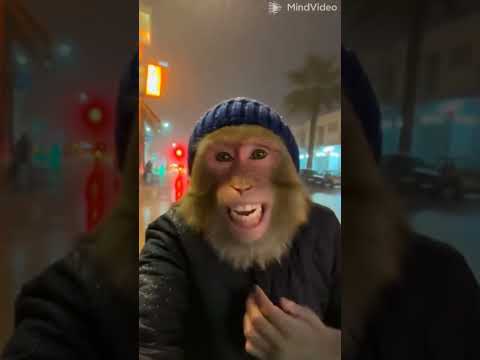 جهزوا نفسكم يا جماعة ضحك المراه اكسبلور