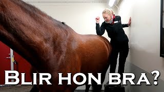 Bella åker till veterinären och blir behandlad  vlogg