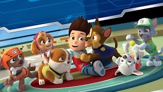 Paw Patrol Pups Build the Bridge screenshot 3
