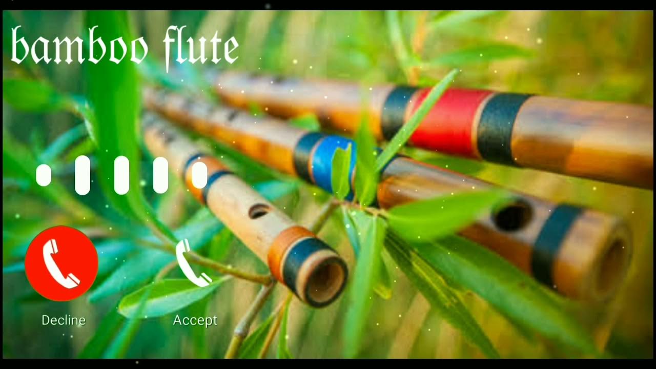 𝔭𝔬𝔭𝔲𝔩𝔞𝔯 𝔟𝔞𝔪𝔟𝔬𝔬 𝔣𝔩𝔲𝔱𝔢 𝔯𝔦𝔫𝔤𝔱𝔬𝔫𝔢"""💞💞2021 YouTube