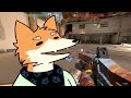 Beginning of video