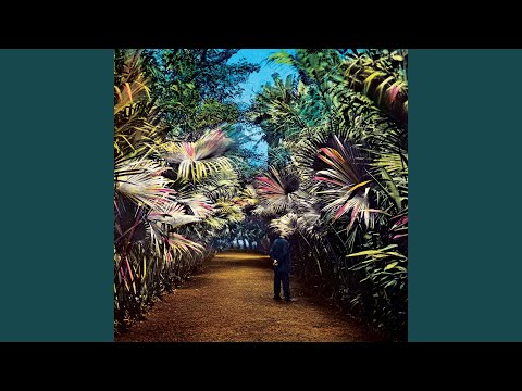 Tim Knol — Polaroids