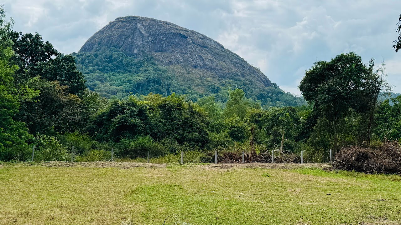 1.5 acres beautiful hill view land for sale near Sakleshpur 👌