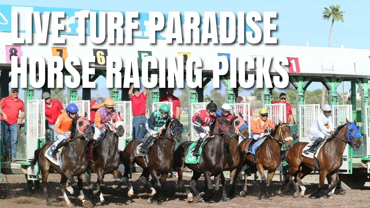 Turf Paradise Horse Racing Results