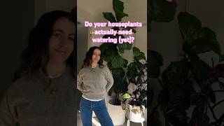 How to check if your Houseplants need water | Full care for each plant in my Ebook!