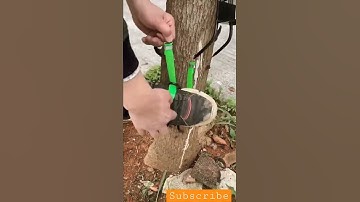 Tree climbing hack reels #shorts #reels
