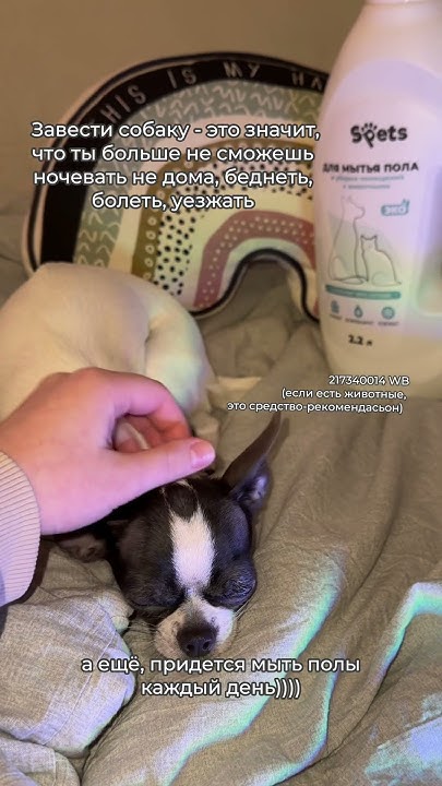 🤍средство для мытья полов, которое просто идеально убирает запахи ...