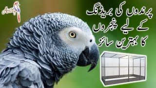 Breeding Cage size and design of African grey Alexandrian and sun conure  parrots