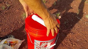 DIY PVC Rolling Log Mouse Trap