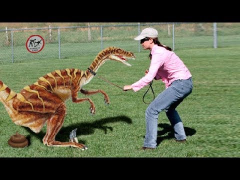 WHAT WOULD HAPPEN IF DINOSAURS HADN'T DIED OUT?
