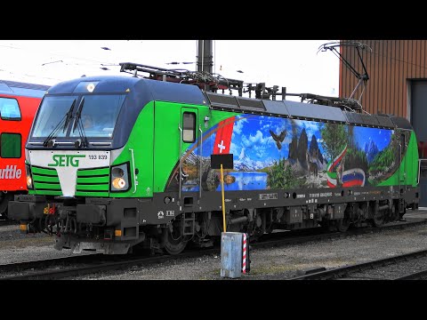 Vectron Treffen am ÖBB Terminal Wolfurt in Vorarlberg: SETG 193 839 Alpenlok & Vectron ELL 193 280