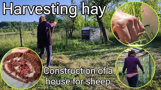 Slow morning routine in village || Harvesting hay || Construction of a house for sheep #11