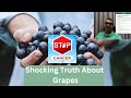 Deadly and Dangerous Pesticides In Your Grapes