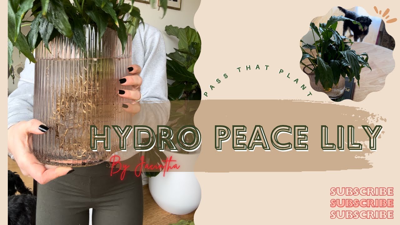 Let’s make a hydro plant with this sad peace lily!