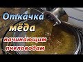 Откачка мёда на моей пасеке. Время и сроки откачки мёда. Начинающим пчеловодам.