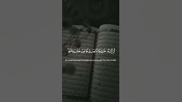 لو أنزلنا هذا القرآن على جبل لرأيته خاشعاً  #ياسر_الدوسري #سورة_الحشر #قرآن #تلاوة #صوت_الخشوع