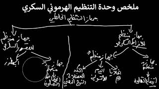 ملخص التنظيم الهرموني السكري | ثانية آداب وفلسفة