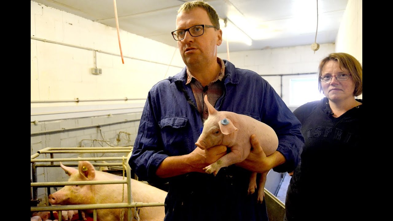 Digitale Hofführung auf dem Hof Puckert in Saerbeck-Sinningen