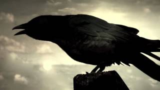 The Raven in HD by The Alan Parsons Project