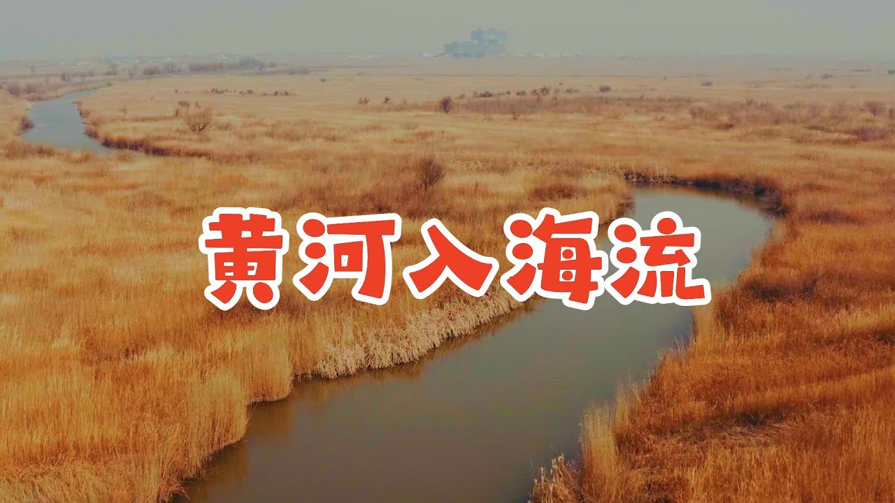 黄河最近一次大改道,官方吵30年没定论,最后做出了自己的选择 YouTube