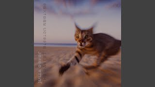 Where's My Cat (Zaida Zane Remix)