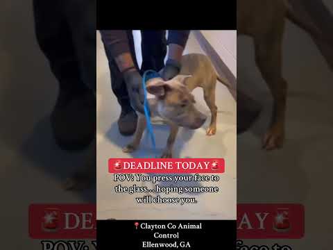 Follow On Facebook For Updates Https Www Facebook Com Share 1DGthwCvG8 Mibextid WwXIfr 