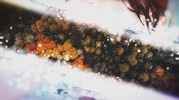 Parallax Slideshow After Effects Templates