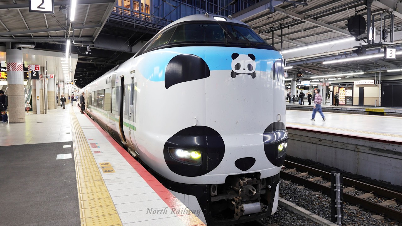 287系】間もなく引退！サステナブルSmileトレイン 特急くろしお25号 新