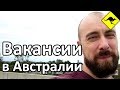 Рабочие Вакансии в Австралии Прямо Сейчас!